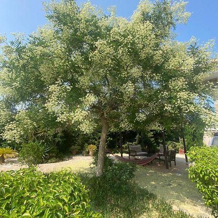 Villa Casa Lusentum à Torrevieja Extérieur photo