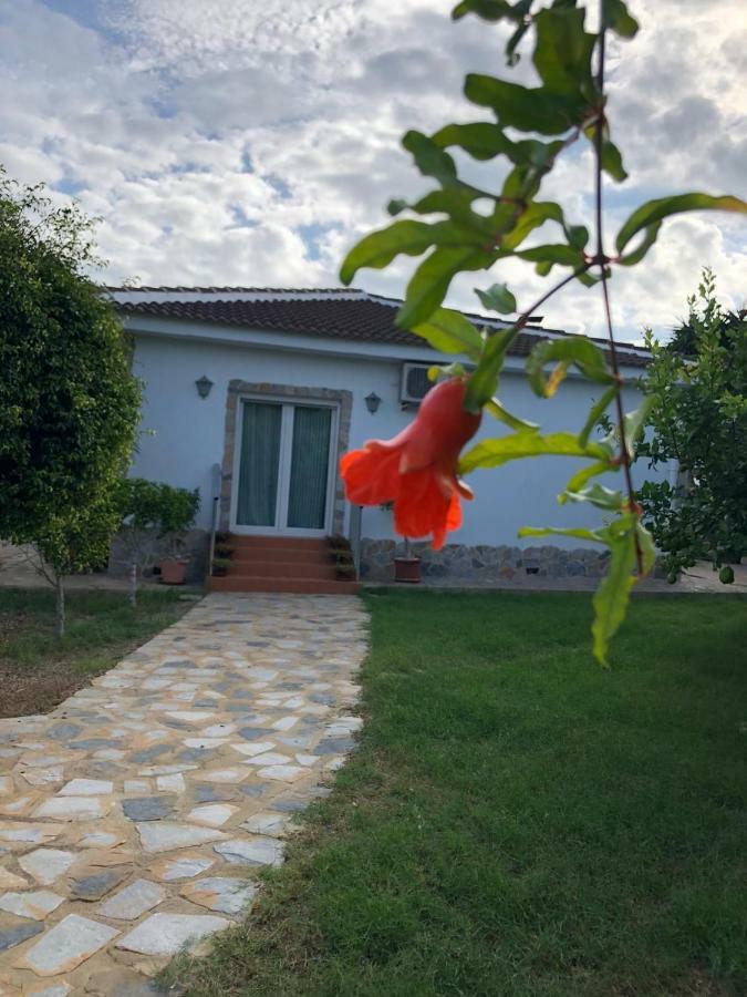 Villa Casa Lusentum à Torrevieja Extérieur photo